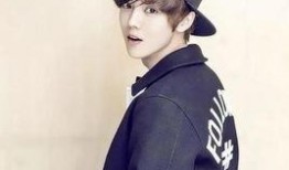 高瀚宇爆料鹿晗了吗视频,视频爆料背后的真相